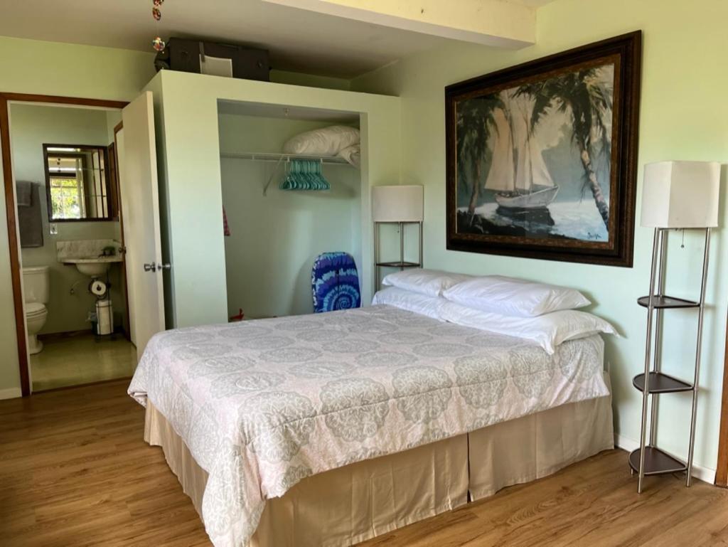 Waipio Studio Apartment Kukuihaele Экстерьер фото